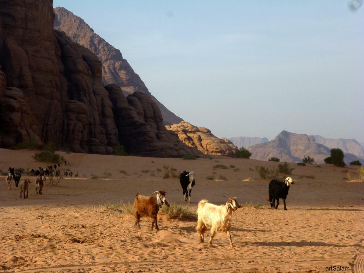 Hotel Sunrise Camp Wadi Rum Zewnętrze zdjęcie