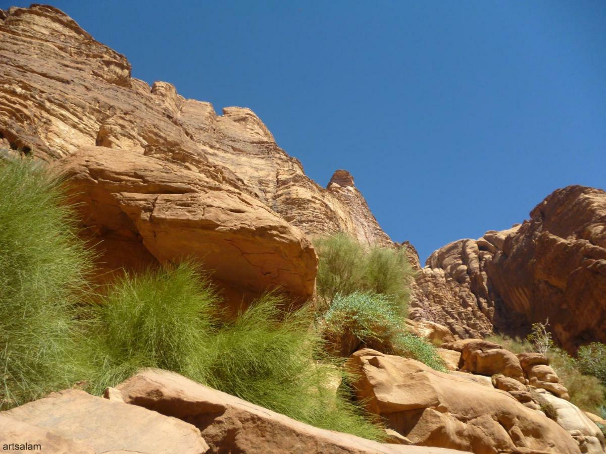 Hotel Sunrise Camp Wadi Rum Zewnętrze zdjęcie