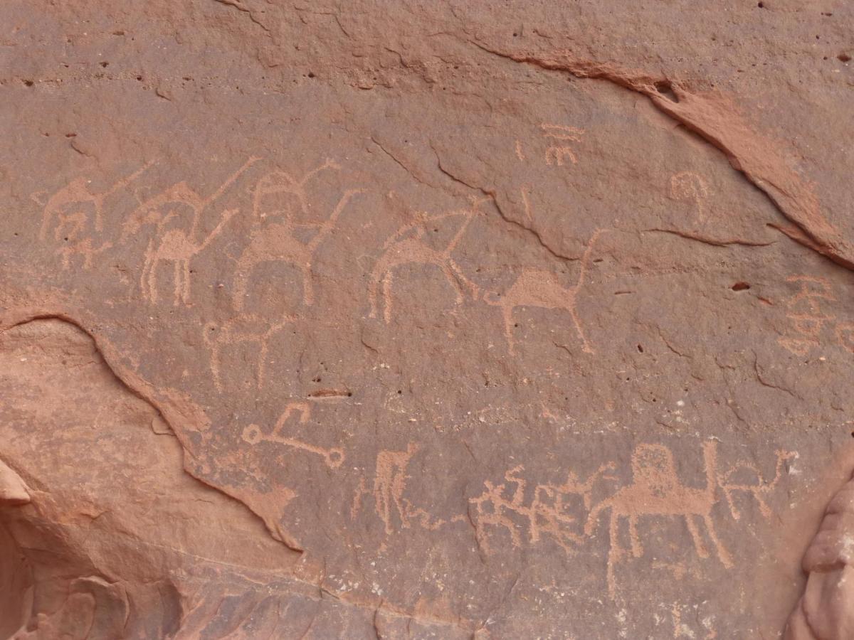 Hotel Sunrise Camp Wadi Rum Zewnętrze zdjęcie