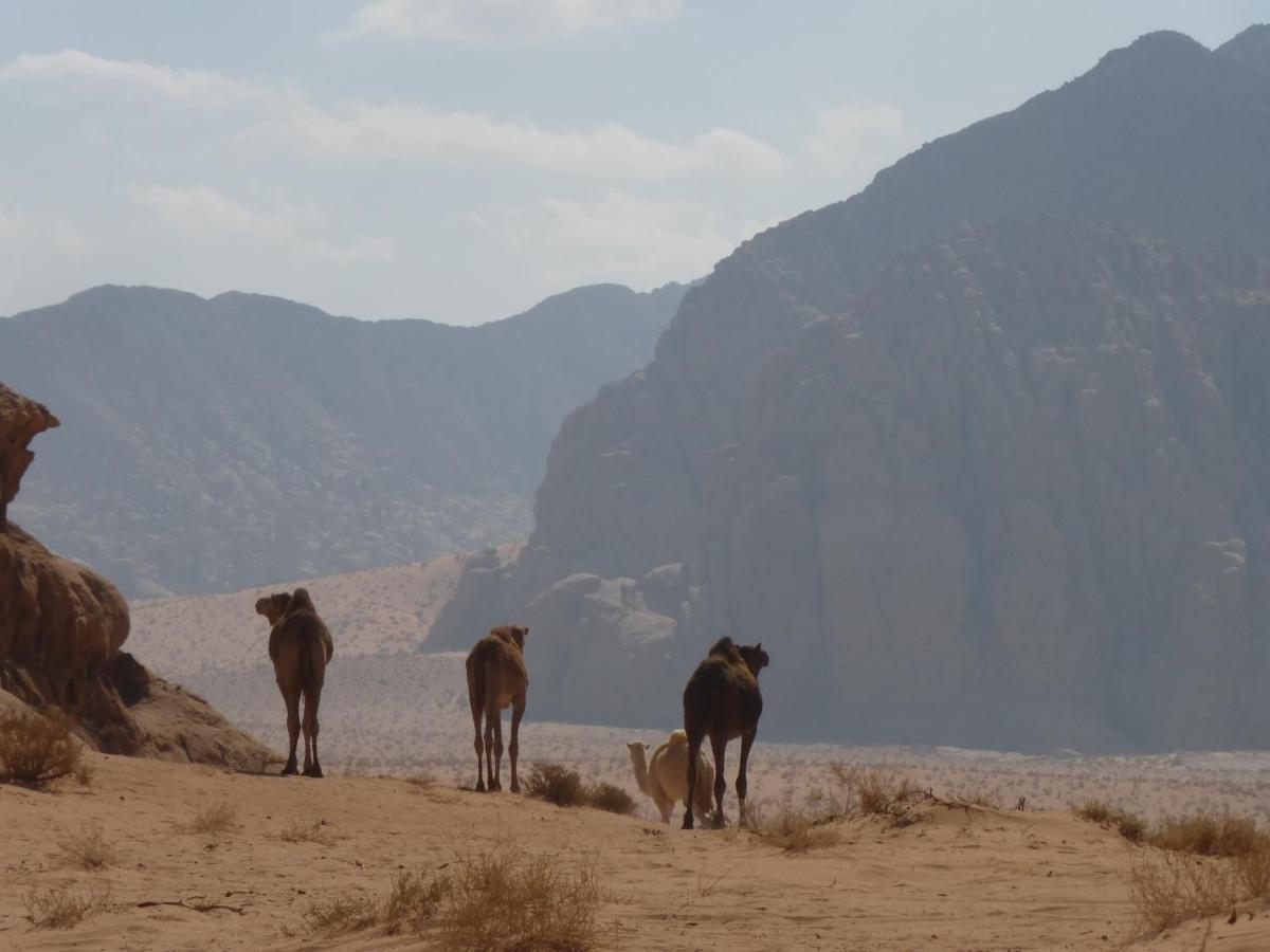 Hotel Sunrise Camp Wadi Rum Zewnętrze zdjęcie